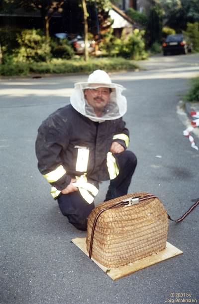 Bienen im Holzwurmviertel - 18.06.2000